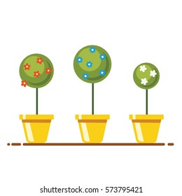 Small trees with flowers in pots.