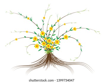 The small trees in the garden have yellow flower, red pollen and swaying branches.