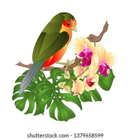 Small tropical bird with tropical flowers  beautiful yellow orchid  phalenopsis palm,philodendron  vintage vector illustration  editable hand draw