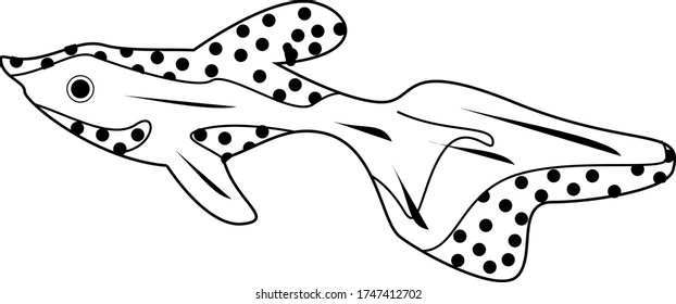 Small tropical fish with a polka dot pattern