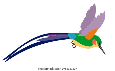 Small tropical hummingbird with long thin beak and bright blue feathers on white background. Wildlife theme. Flat vector Illustration of flying colibri