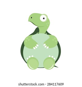 Small turtle