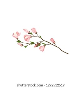 Small twig with beautiful pink flowers and green leaves. Fresh branch of magnolia tree. Detailed flat vector icon