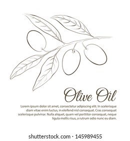 Small twig with black olives, isolated on white background. Vector illustration.