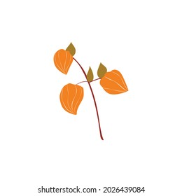 Small twig with physalis flowers in an abstract style. Vector