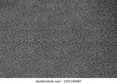 Small uneven spots and particles of debris. Abstract vector texture.  Distressed uneven background. Grunge texture overlay with fine grains isolated on white background. Vector illustration. EPS10.