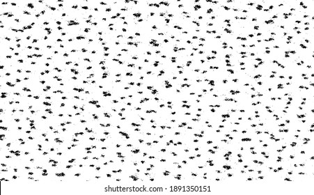 Small uneven spots and particles of debris. Abstract vector texture.  Distressed uneven background. Grunge texture overlay with fine grains isolated on white background. Vector illustration. EPS10.