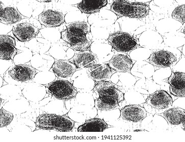 Small uneven spots and particles of debris. Abstract vector texture.  Distressed uneven background. Grunge texture overlay with fine grains isolated on white background. Vector illustration. EPS10.