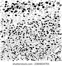 Pequeñas manchas y partículas desiguales de los escombros. Textura de vector abstracta.  Antecedentes desiguales. Superposición de textura gruesa con granos finos aislados sobre fondo blanco. Ilustración vectorial. EPS10.
