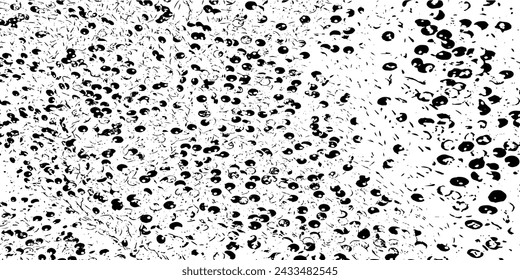 Pequeños puntos irregulares y partículas de desechos. Textura abstracta del vector.  Fondo desigual angustiado. Textura grunge superpuesta con granos finos aislados sobre fondo blanco. Ilustración vectorial. EPS10.
