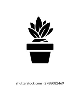 Small upward-splayed leaf bundle in a pot, spiky plant icon