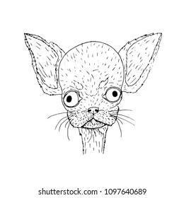 small vector dog, sketch in black pen
