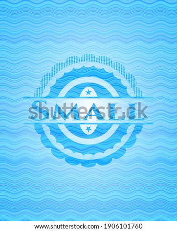 Small water emblem. Vector Illustration. Detailed. 