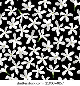 Flores blancas pequeñas sobre fondo negro, patrón vectorial sin costura