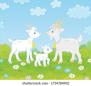 Small white kid with a nanny goat and a grey he-goat walking on green grass of a pretty summer field with colorful flowers on a wonderful warm day, vector cartoon illustration