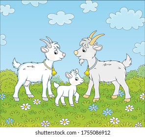 Small white kid with a nanny goat and a grey he-goat walking on green grass of a pretty summer field with colorful flowers on a wonderful warm day, vector cartoon illustration