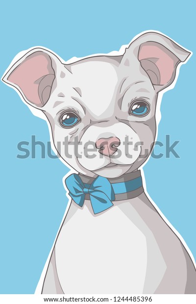 Small White Short Haired Chihuahua Dog Stock Vector Royalty Free