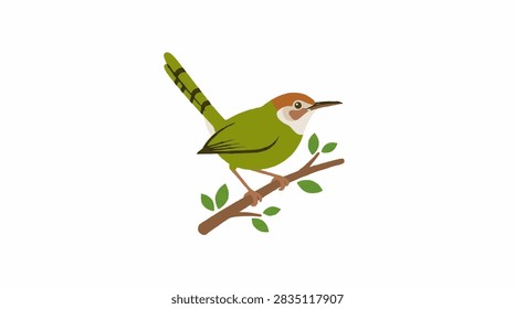 A small wild bird resting on a textured tree branch against a soft natural background in a forest setting.
