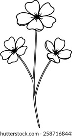 Small Wildflower with Three Petals