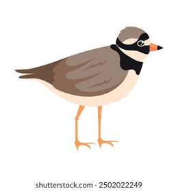 small winged shorebird cartoon isolated