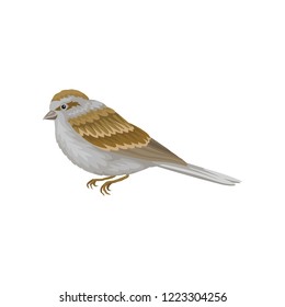 Small winter bird with gray-brown plumage, side view. Wildlife and fauna theme. Flat vector design
