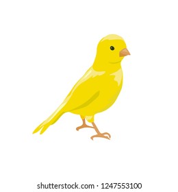 Small Yellow Bird. Canary. Vector Illustration