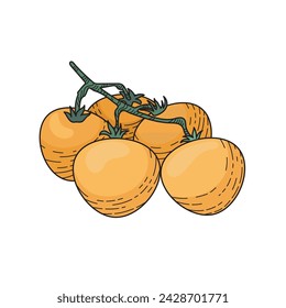 Small yellow cherry tomatoes on a branch. A vegetable in a salad. Healthy eating. An illustration for Cooking and cooking recipes. Agricultural culture