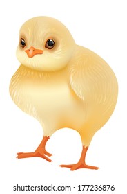 Small yellow chicken - vector - stock vector
