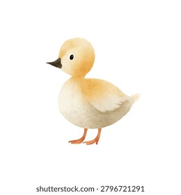Small yellow duckling standing alone profile