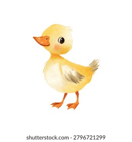 Small yellow duckling standing alone white