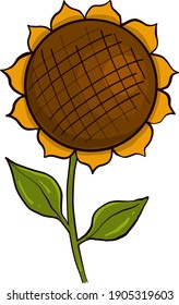Small yellow sunflower, illustration, vector on a white background.