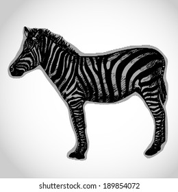 Small zebra vector illustration in newspapers - vector image resembling print in newspapers  in retro style