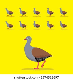 Small-Billed Tinamou Animal Animation Sequence Cartoon Vector