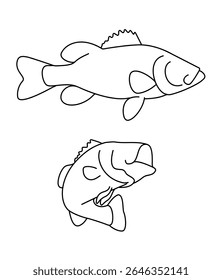 Smallmouth Bass Smallmouth Bass Smallmouth Bass