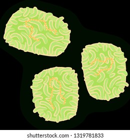 Smallpox virus on dark background, vector illustration