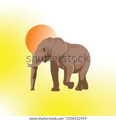 smart bid elephant walking, strong powerfull animal walk slowly vector illustrations
