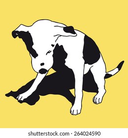 Smart black and white dog. Smart dog. Darling dog. Man's best friend. Black and white doggy. Crafty and sly doggie. Flatten isolated illustration master vector.