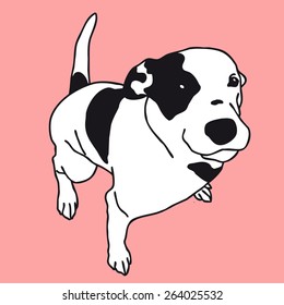 Smart black and white dog. Smart dog. Darling dog. Man's best friend. Black and white doggy. Crafty and sly doggie. Flatten isolated illustration master vector.