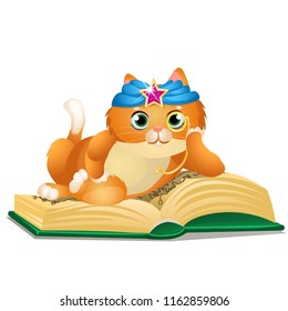 Smart cat reads book isolated on white background. Vector cartoon close-up illustration.