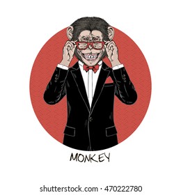 smart chimpanzee, Chinese horoscope, anthropomorphic illustration