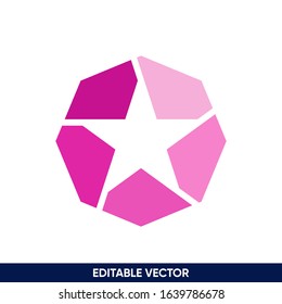 smart clever double meaning star shape logo