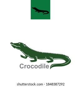 smart crocodile logotype, vector illustrations in dark green color