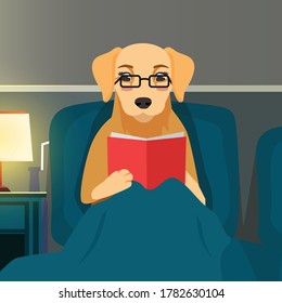 smart dog character reading book at night 