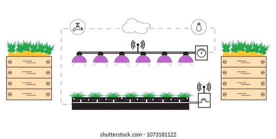 Smart farm and agriculture. Monitoring and control of temperature, humidity, light level. Cultivation of plants. New technologies. High yield.