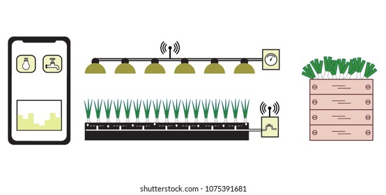 Smart farm and agriculture. Monitoring and control of temperature, humidity, light level. Cultivation of plants. New technologies. High yield.