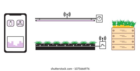 Smart farm and agriculture. Monitoring and control of temperature, humidity, light level. Cultivation of plants. New technologies. High yield.