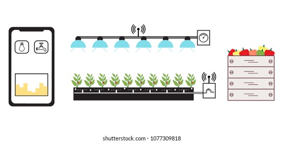 Smart farm and agriculture. Monitoring and control of temperature, humidity, light level. Cultivation of plants. New technologies. High yield.