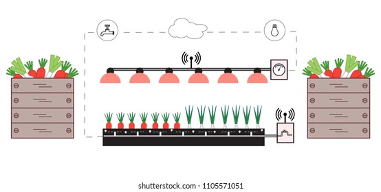 Smart farm and agriculture. Monitoring and control of temperature, humidity, light level. Cultivation of plants. New technologies. High yield.