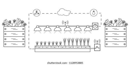 Smart farm and agriculture. Monitoring and control of temperature, humidity, light level. Cultivation of plants. New technologies. High yield.