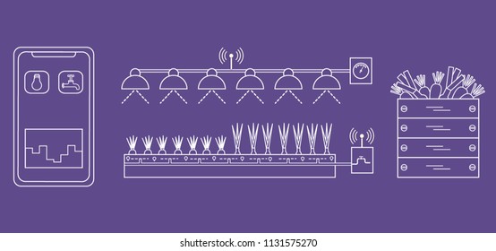 Smart farm and agriculture. Monitoring and control of temperature, humidity, light level. Cultivation of plants. New technologies. High yield.